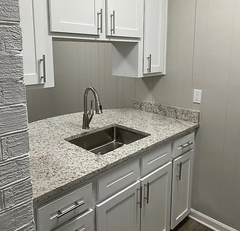 Modern Faucet and Undermount Stainless Sink
