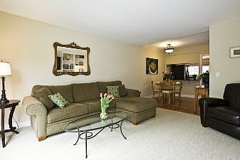 Living Room :: 81 Corte Lenosa H