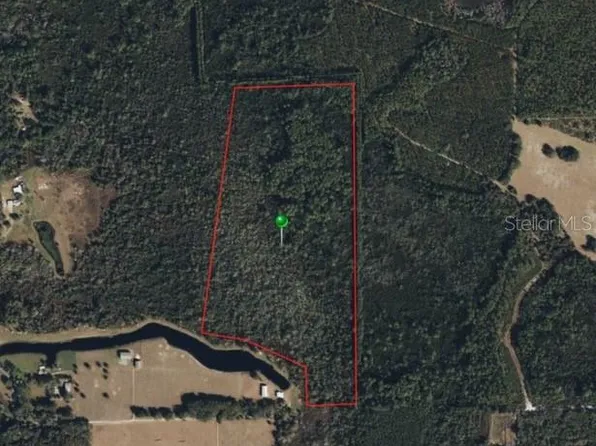RAULERSON ROAD, SEVILLE, FL 32190