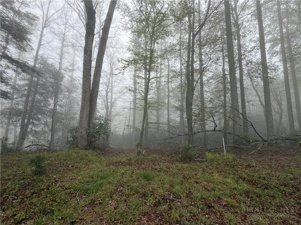 Lot 115R Autumn Blaze Trail, Blowing Rock, NC 28605