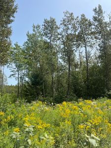 Map3Lot12C Fowler Road Crossroad, Caribou, ME, 04736