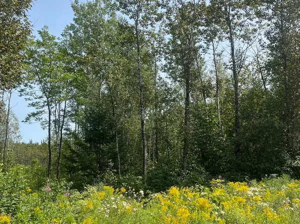 Map3Lot12C Fowler Road Crossroad, Woodland, ME 04736