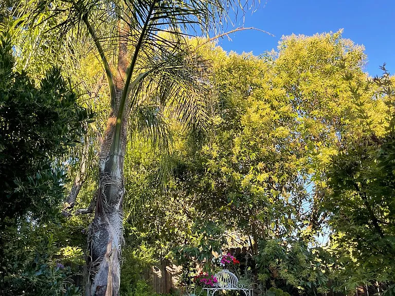1181 Camino Tassajara — Photo 16