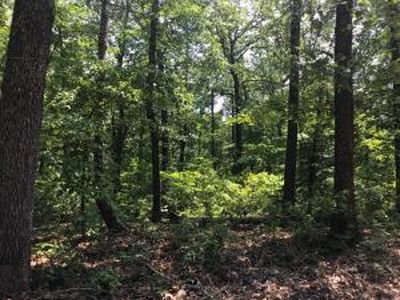 6.38 Acres Off Cres #2923, Marble Falls, AR, 72648