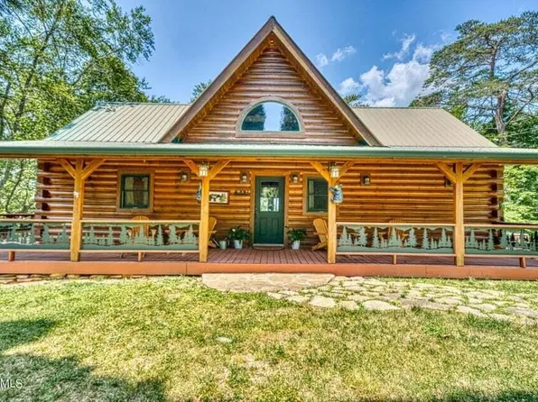 208 Holiday Point Dr, Spring City, TN 37381
