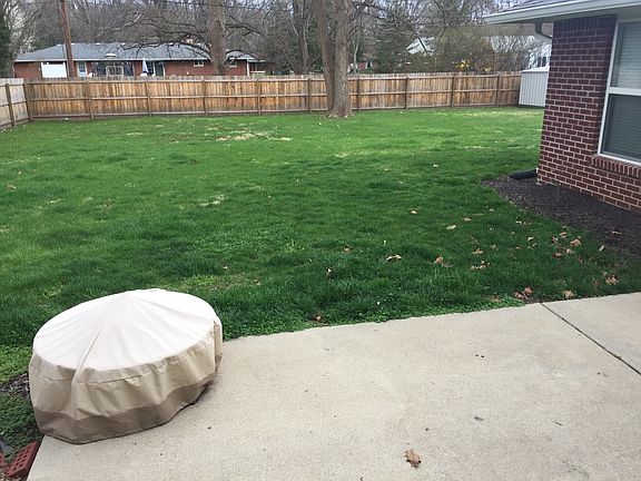 Fenced backyard