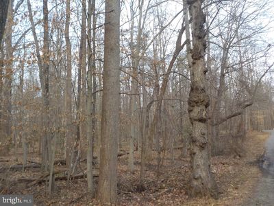 8870 Evelyn Dr, Manassas, VA, 20112