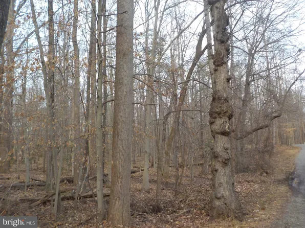 8870 Evelyn Dr, Manassas, VA 20112