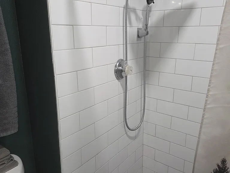 Primary Shower.