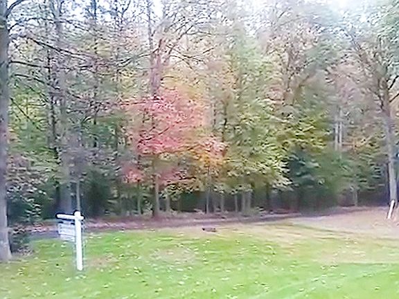 2nd image of 6611 Flannagan Ct