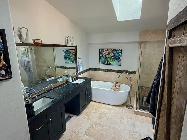 Master bathroom view with skylight