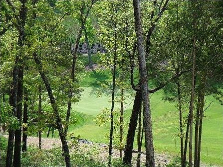 1st image of 114 Troon Cir