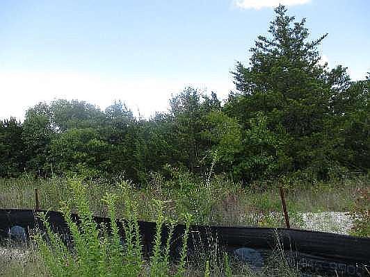 3rd image of 971 Bluff View Dr