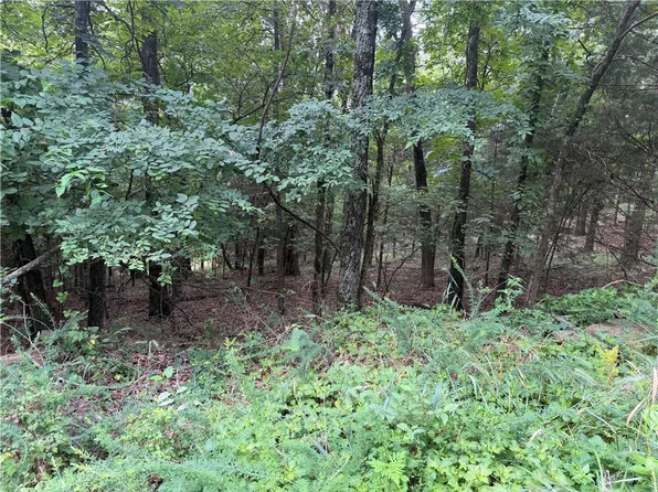 E Bowen Blvd, Goshen, AR 72735
