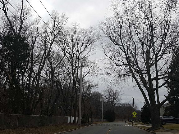 5th image of 72 Rockland Dr