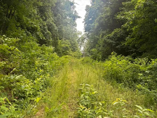 78 Pitch Pine Dr Lot 78, Sylva, NC 28779