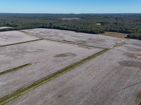 Tuscumbia Limestone Alabama Mississippi Allsboro Limestone Farm