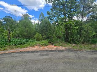 Pid 30404 Shoreline Dr, Woodville, TX 75979