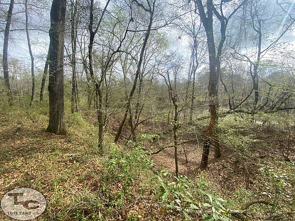 4th image of 0 Sandbar Rd