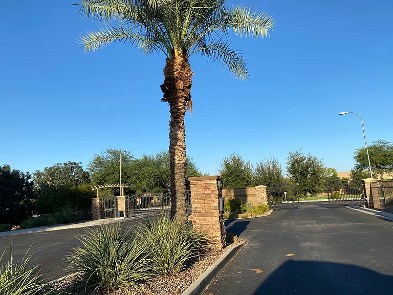 1905 W Swan Dr — Photo 49