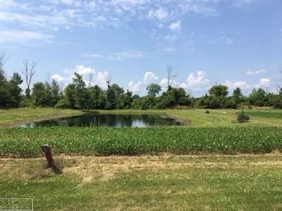 Wiegand Ln, Almont, MI, 48003