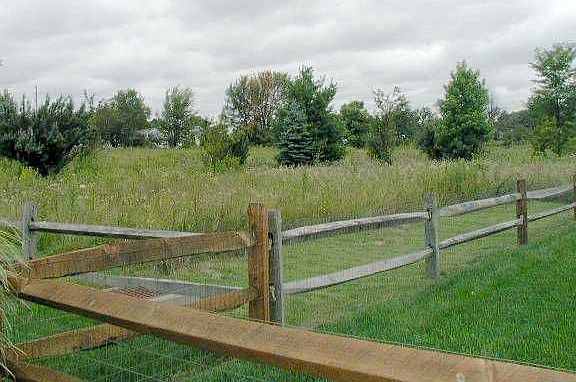 View of nature preserve from back yard!