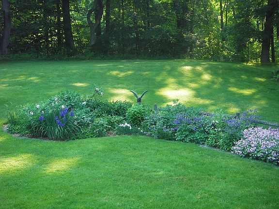 back yard to conservation land woods