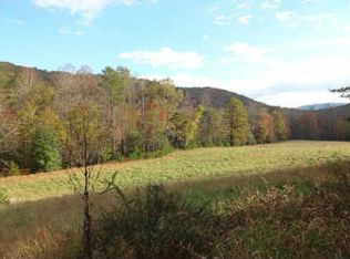 0 Dave Whitaker Rd, Horse Shoe, NC 28742