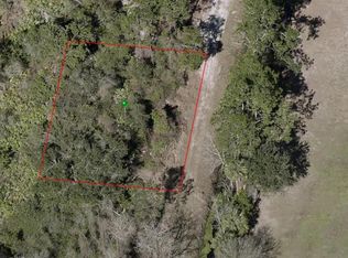 Na LOT 19, Daytona Beach, FL 32117