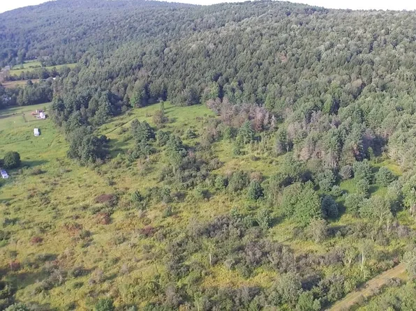 LOT 34.01 Upper Green St N #34, Otego, NY 13825