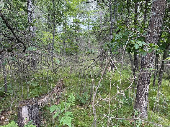 4th image of Lot 56 George Lake Road