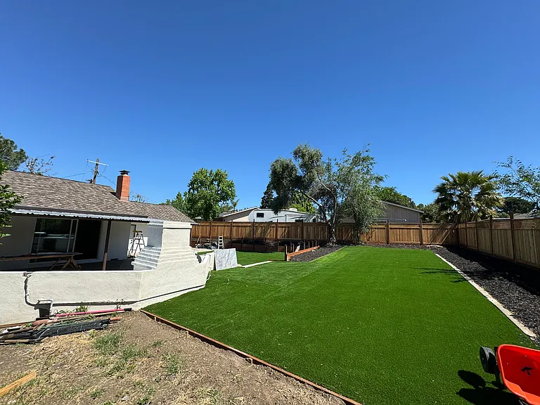 Backyard