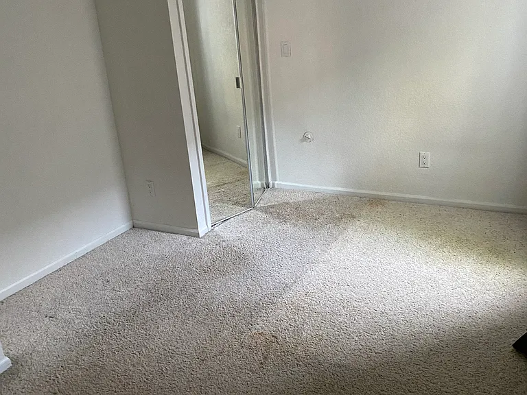 Basement bedroom #2 with large closet and crawlspace access with further storage.