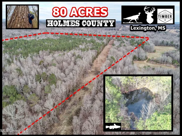 Anderson Rd, Lexington, MS 39095