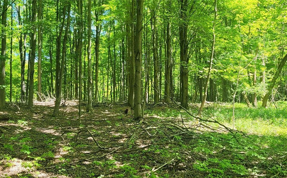 Clinton St, Cowlesville, NY 14037 MLS B1475141 Zillow