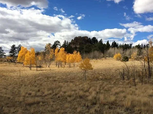 128 Ignacio Way, Como, CO 80456