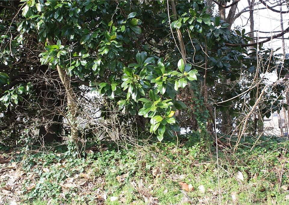 2nd image of 2341 Castleloch Ct