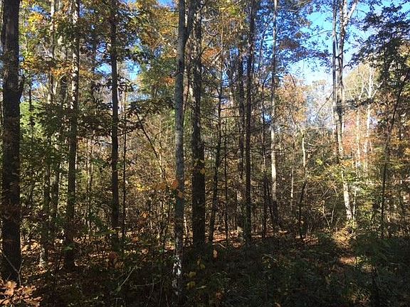 2nd image of Brown Creek Dr