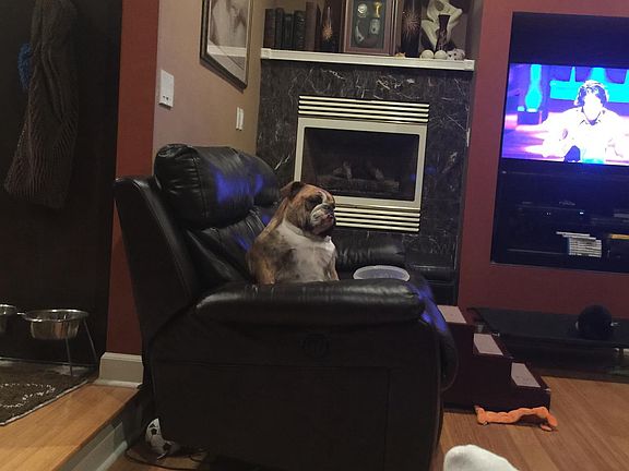 Living Room, dog not included. =)