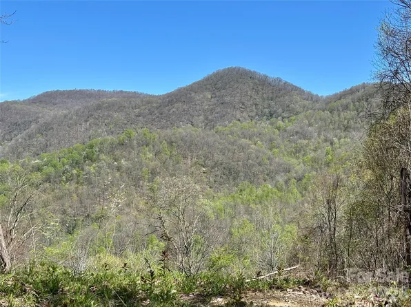 W Lot Meadow Fork Rd, Hot Springs, NC 28743