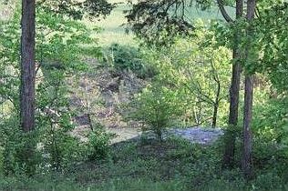 3rd image of 2624 Riverfront Ln