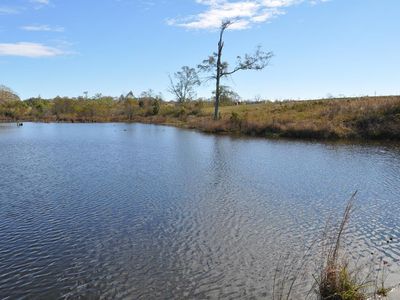 34D Oscar Lee Rd, Poplarville, MS, 39470