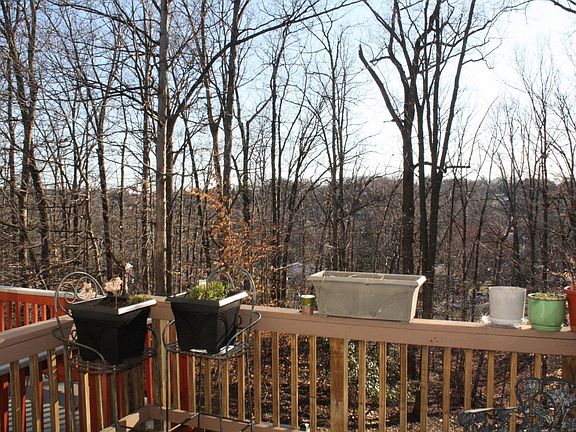 back deck view