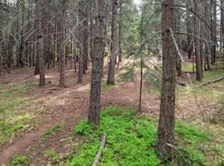 17 Canyon Loop Rd, Lyle, WA 98635