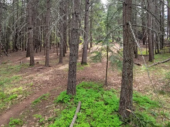 17 Canyon Loop Rd, Lyle, WA 98635