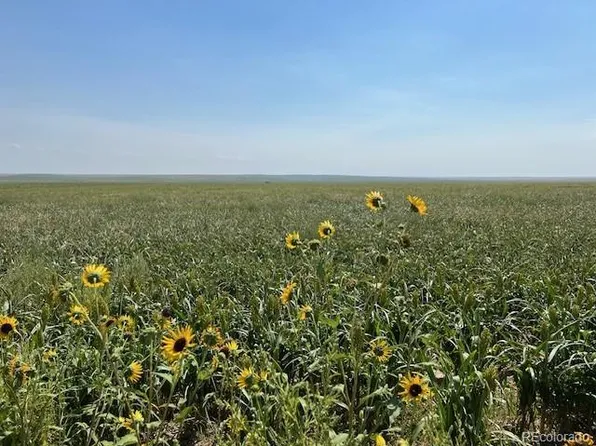 TBD 96th Ave, Byers, CO 80103