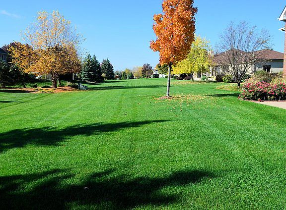 4th image of 17018 Deer Path Dr