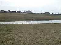133 Minnow Cove Ct photo 1