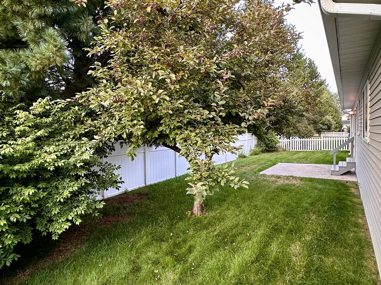 3 bed, 1428 sqft, $2,300 — Photo 4