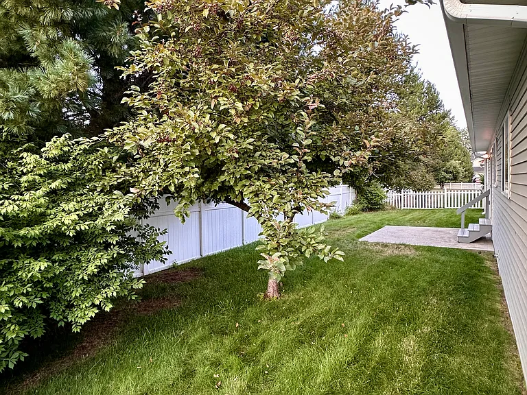 414 Louis Ln — Photo 4